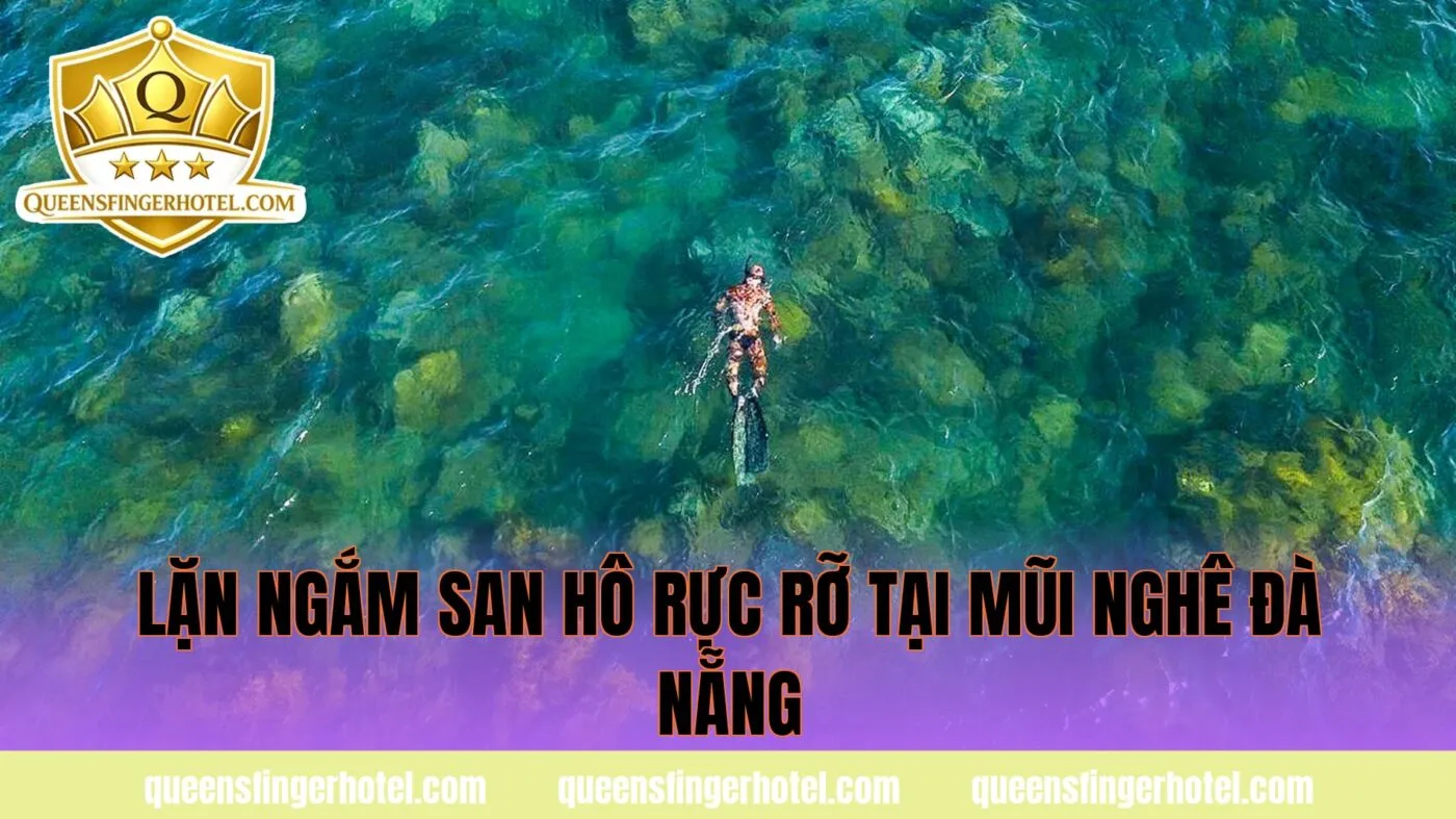 Lặn ngắm san hô rực rỡ tại Mũi Nghê Đà Nẵng