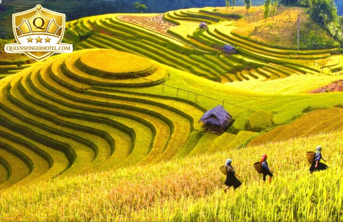 So sánh cảnh quan du lịch miền Bắc và miền Trung Việt Nam